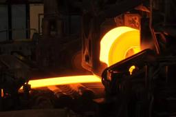 Govt to ease quality control orders for standard certification on 55 steel grades