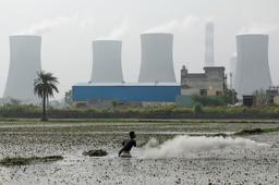 Coal India's quarterly profit falls on weak power demand