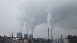 Global:Insurer starts insuring coal once again