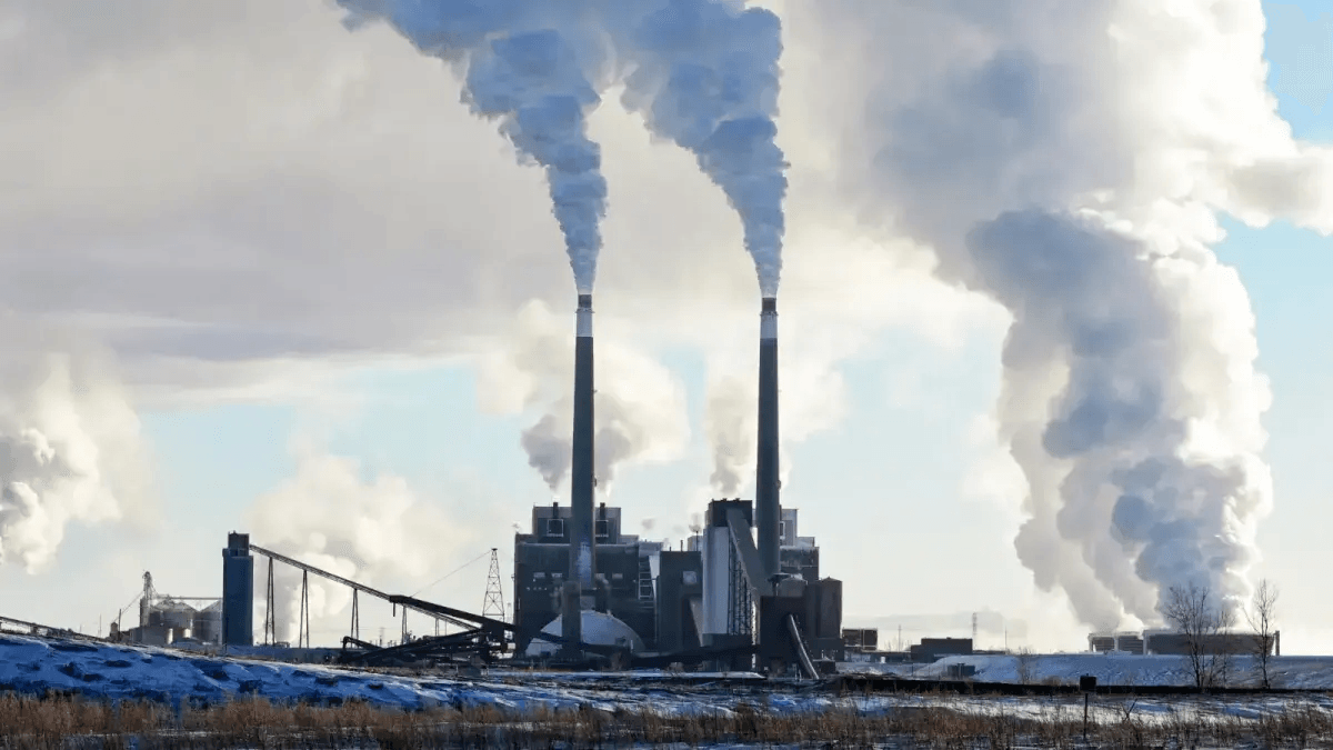 Coal cargo terminal opens in Brundamal