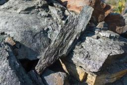 TACC Ltd: TACC secures ₹1,230 crore funding from SBI for Dewas lithium-ion materials project, ETEnergyworld