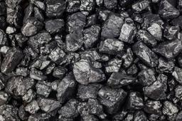 India's willingness to buy Russian coal appreciated